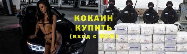 сатива Арсеньев