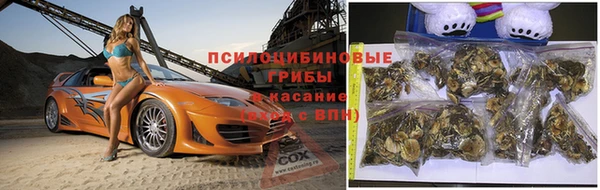 сатива Арсеньев