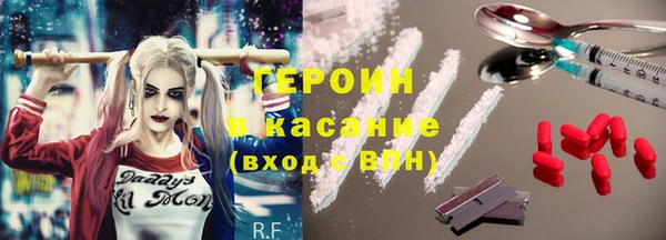 сатива Арсеньев