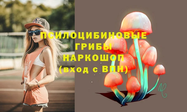 таблы Армянск
