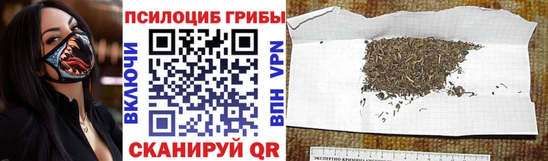 Купить закладки  Новая Ляля  Псилоцибиновые грибы прущие грибы 